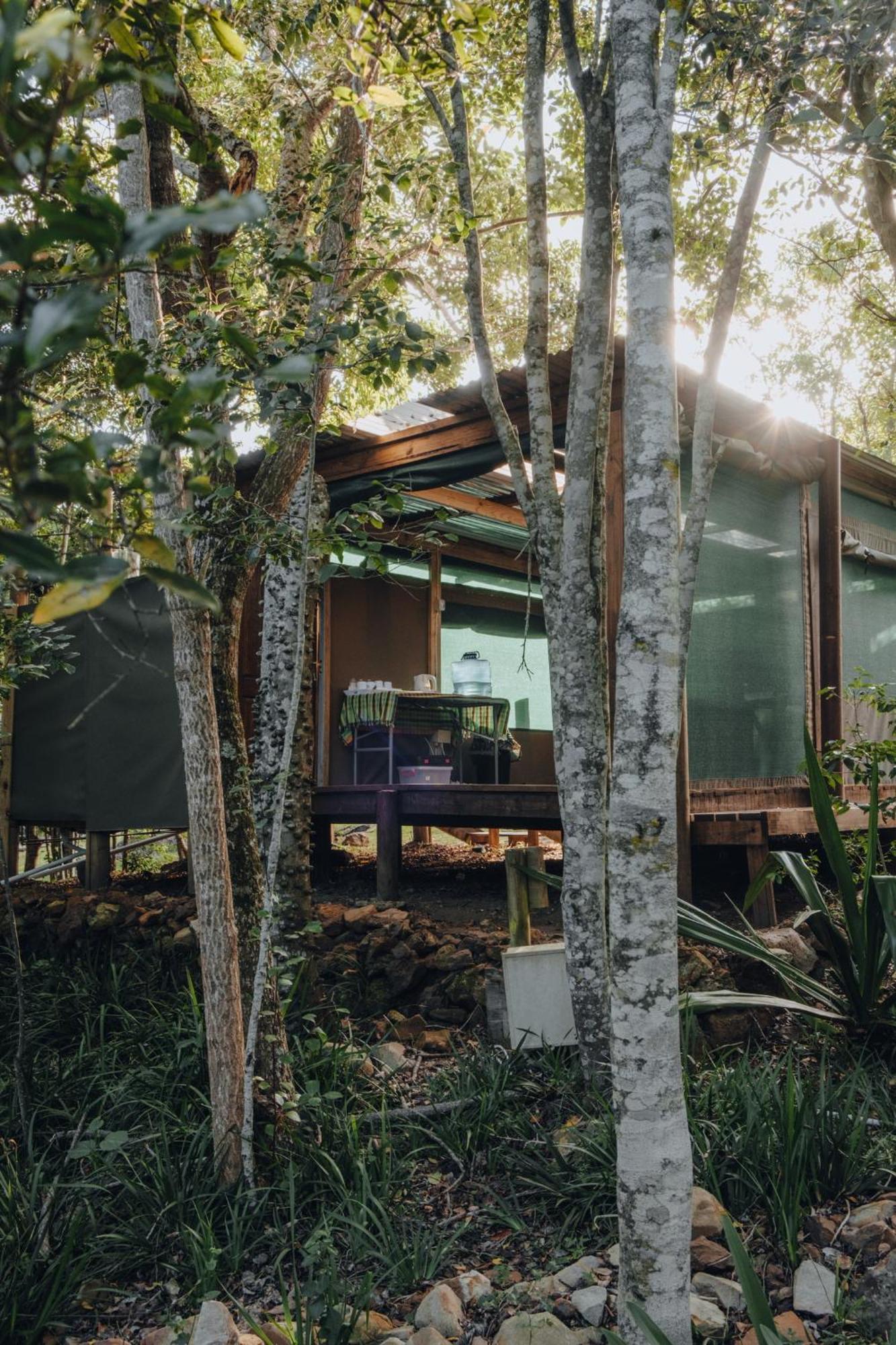 Firefly Falls Plettenberg Bay Luaran gambar