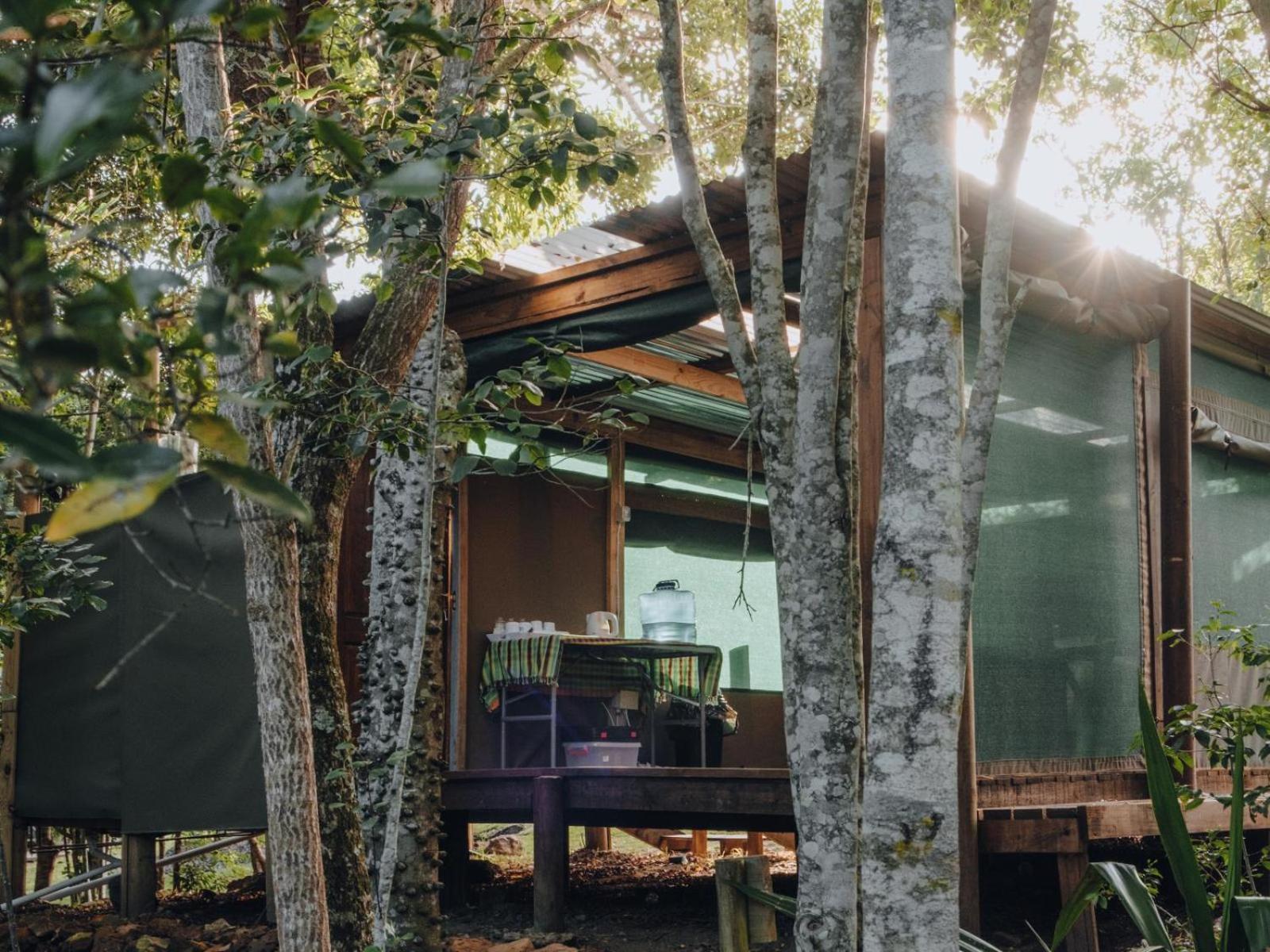 Firefly Falls Plettenberg Bay Luaran gambar