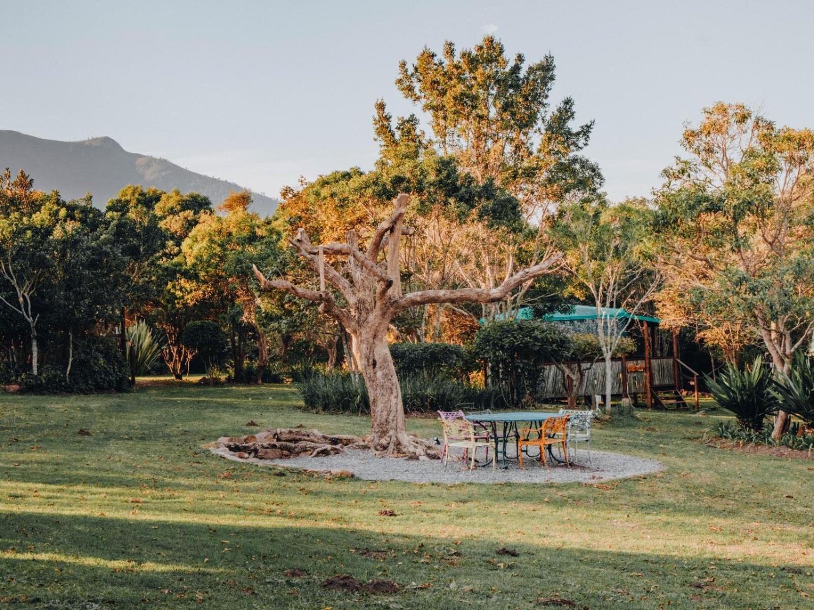 Firefly Falls Plettenberg Bay Luaran gambar