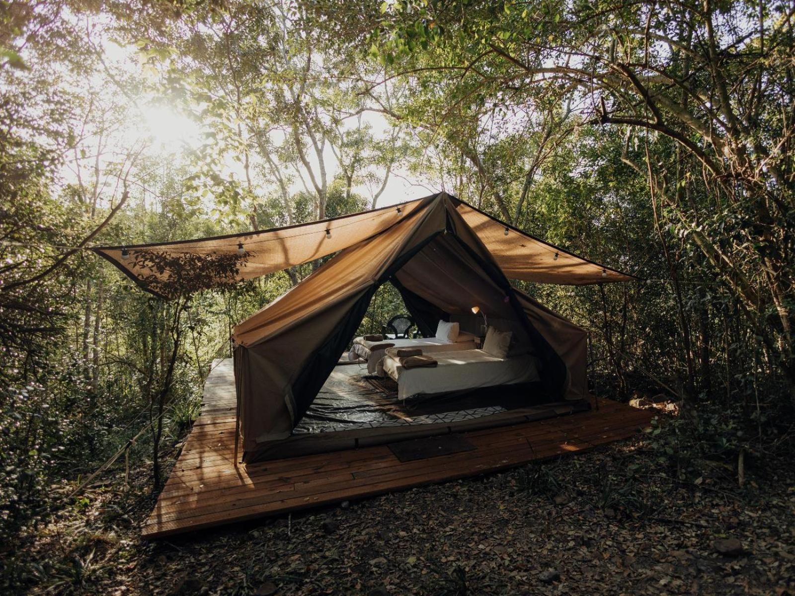 Firefly Falls Plettenberg Bay Luaran gambar